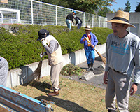 植え込みの掃除